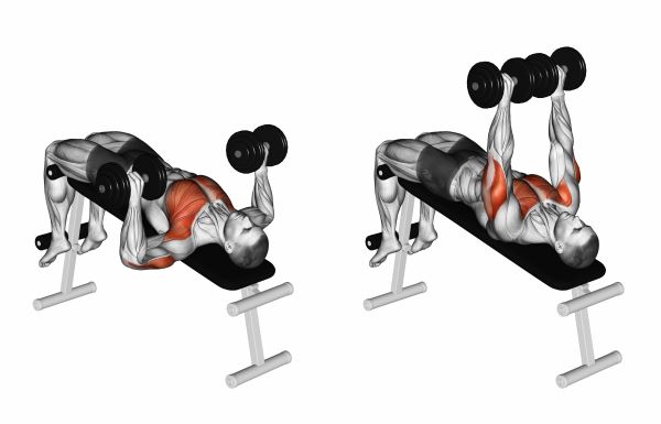 Illustration of the declined dumbbell bench press